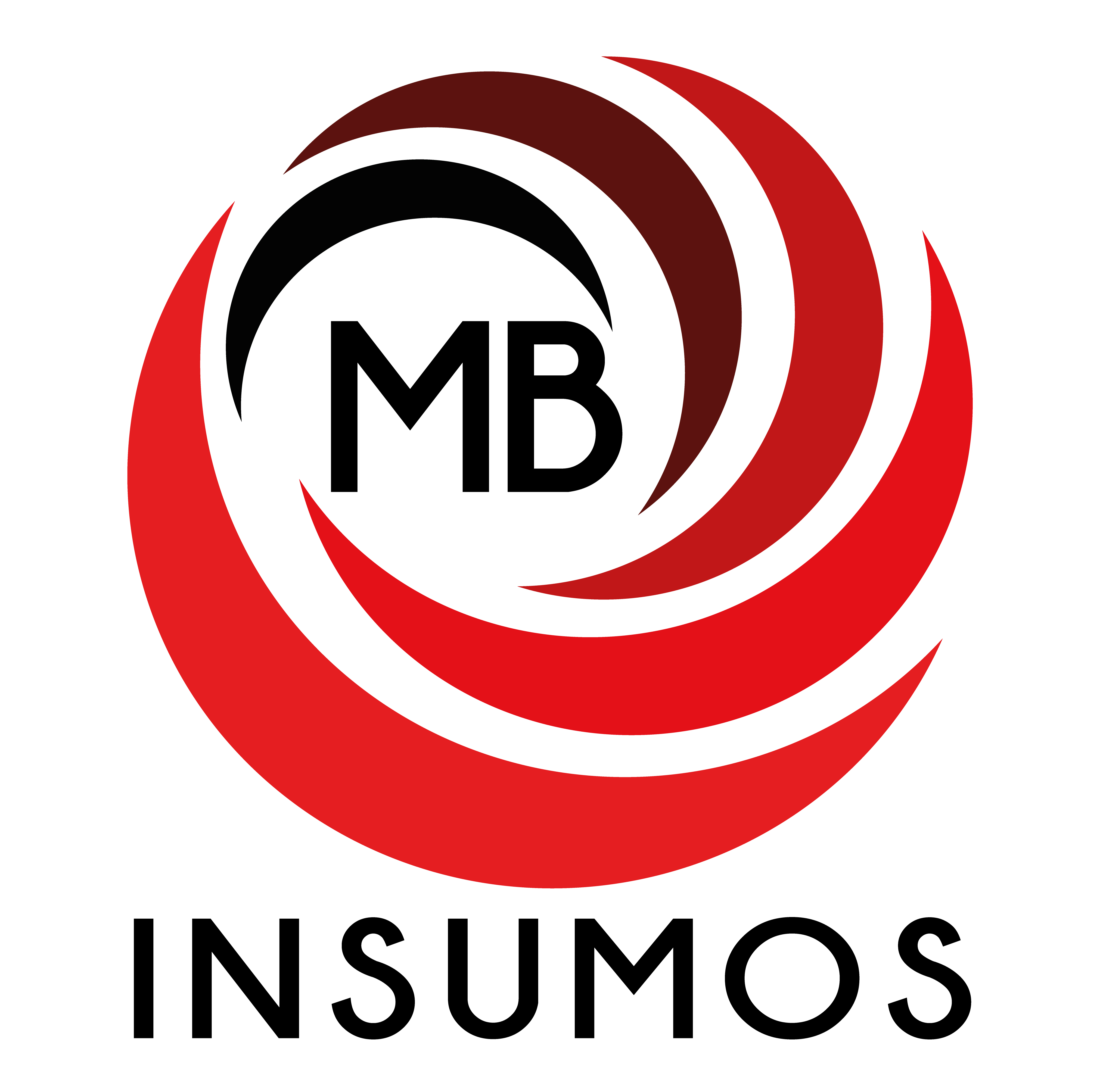 MB INSUMOS Logo